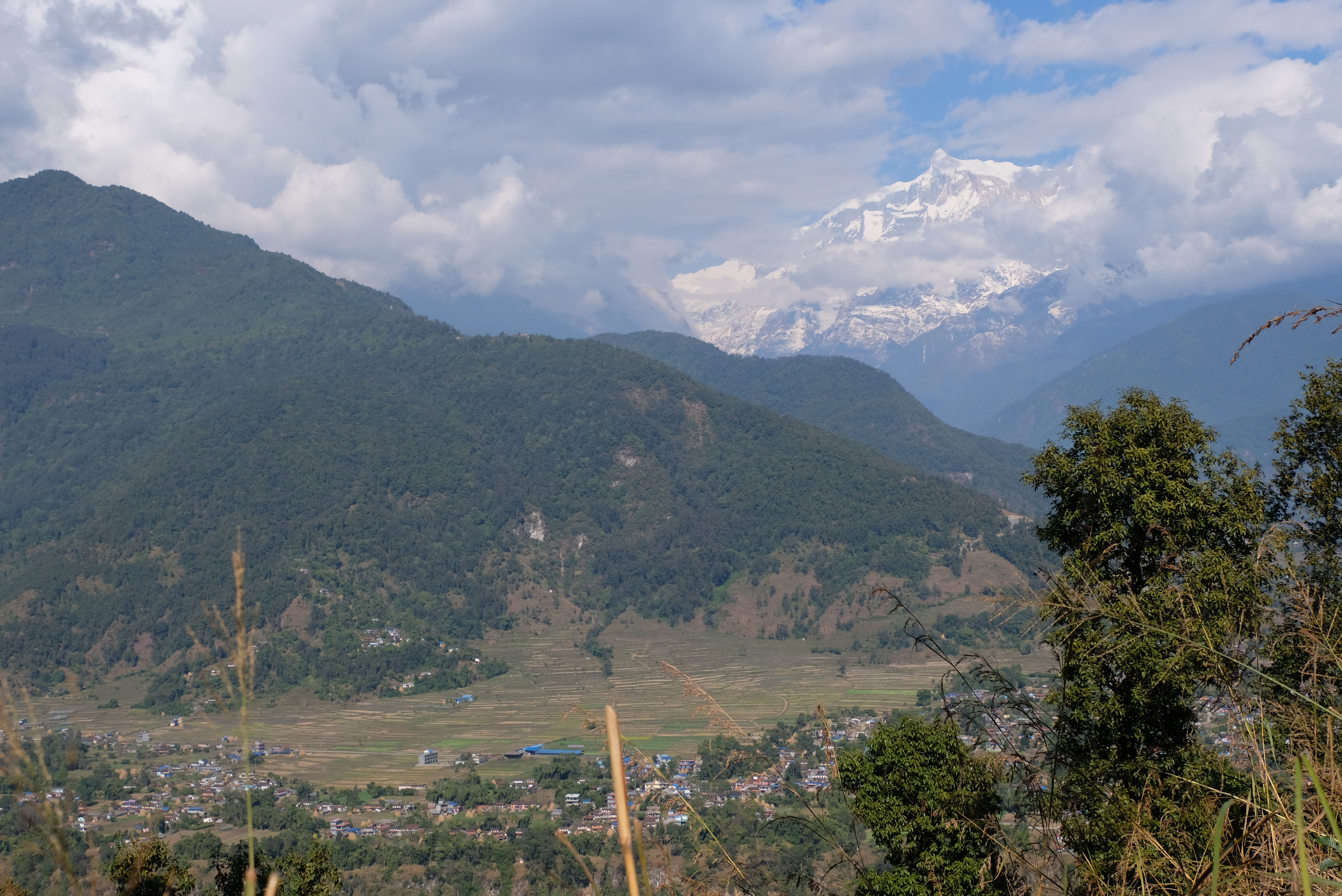 Dhampus Chitwan Tour Package - slider 8 of Mission Summit Treks